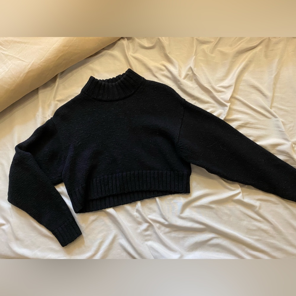 Aritzia Wilfred Free Cropped Sweater